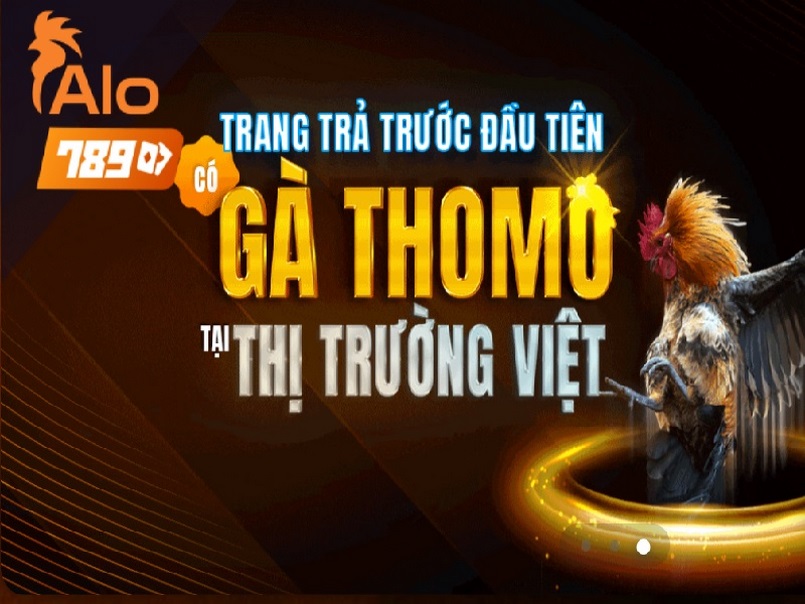 Một số lý do khiến người chơi không thể truy cập vào Alo789