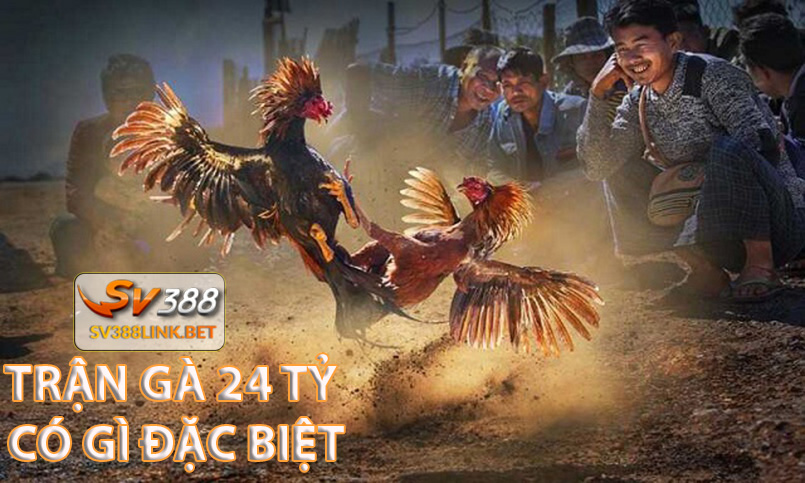 Trận đá gà 24 tỷ có gì đặc biệt